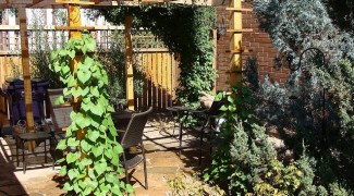 How to Landscape with a Pergola Featured Image