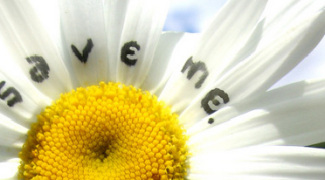 Simple Ways to Make Every Day an Earth Day [Infographic] Featured Image