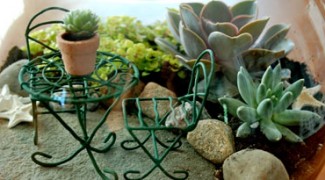 Fairy Gardens: A Small Trend in Interiorscaping? Featured Image