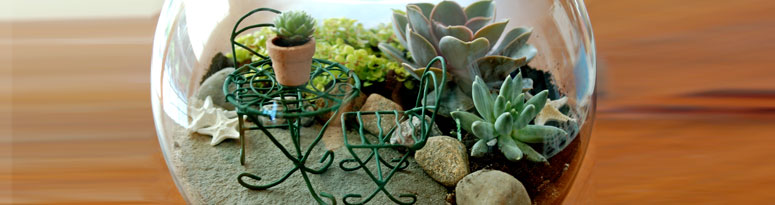 Fairy Garden Terrarium