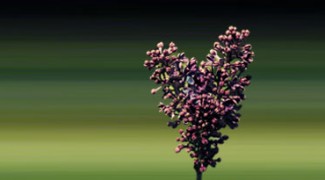 Top 10 Reasons Why I Love the Interiorscaping Business Featured Image