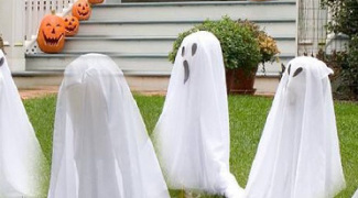 The Ghost in the Garden Featured Image