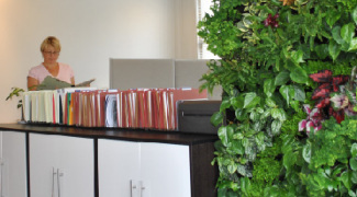 Living Green Wall Ideas for Small-Scale Applications Featured Image