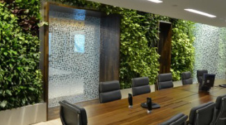 2 Tips for Successfully Planning a Green Wall Project Featured Image