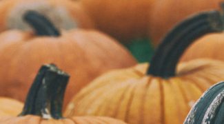 7 Horrifying Plants that will Add a Chill to Your Halloween Featured Image