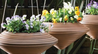 Seven Unique Outdoor Containers Featured Image