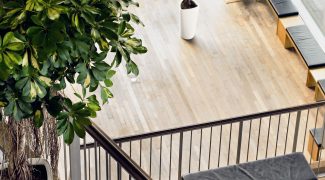 Don’t Fall Victim to These Five Plant Replacement Blunders Featured Image