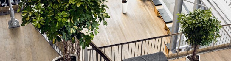 An indoor space with potted plants along a balcony and stairs.