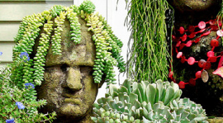 Evidence: Plants Are Smarter Than We Think Featured Image