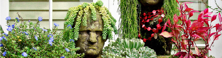 Stone Face Creations