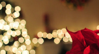 5 Benefits of Using LED Lights in Christmas Displays Featured Image