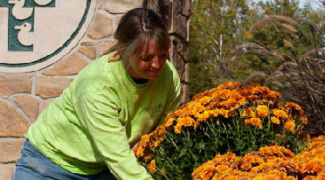 What Do You Know About “Plant Something Day?” Featured Image