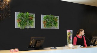 An Introduction to Green Wall Lighting Featured Image