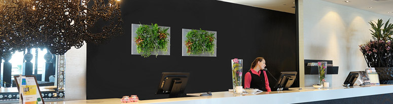 SuitePlants Live Picture