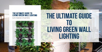 Ultimate Living Green Wall Lighting Guide