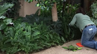 5 Things I Wish I’d Known Before I Started as a Plant Tech [Part One] Featured Image