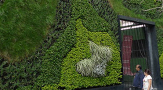 Top Trends for Interior Landscape Design Featured Image