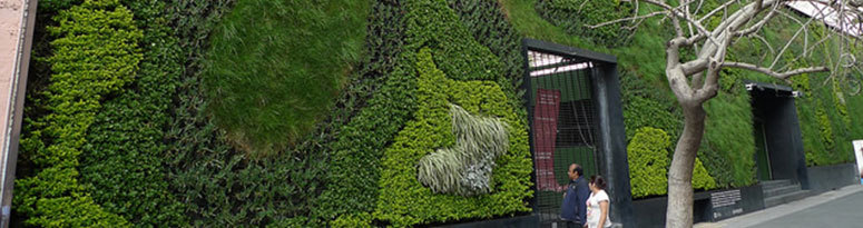 Mexico City Green Wall