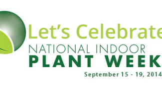 How Did You Celebrate National Indoor Plant Week? Featured Image