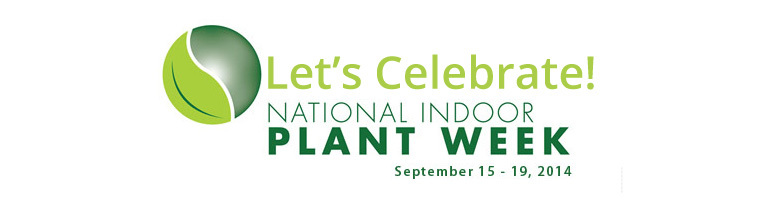 National Indoor Plant Week