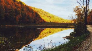 Can Plants Help Ease Depression? Featured Image