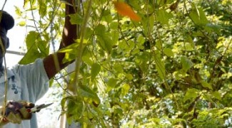 Equip Your Plant Technicians for Success Featured Image