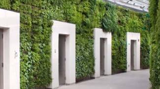 Living Wall Lighting Considerations and Trends Featured Image
