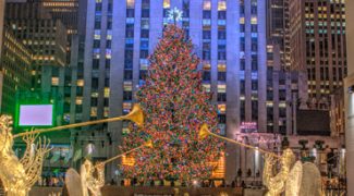 Personal vs. Professional Holiday Decor Featured Image