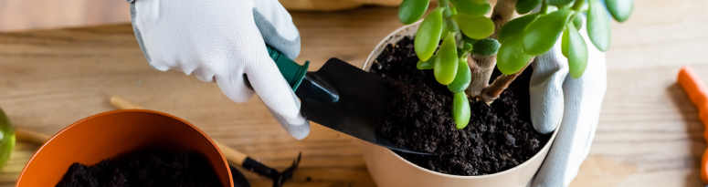 someone using a small hand shovel to put a plant in a planter pot