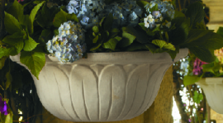 3 Plants that Work for Indoor Wall Sconces Featured Image