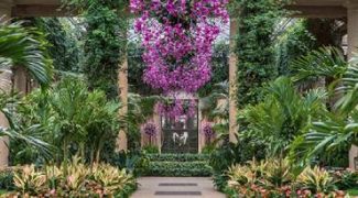 5 Expert Tips for Easy Atrium Maintenance Featured Image