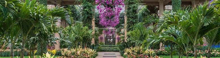 lush green foliage lining an atrium walkway