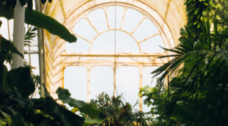 Aesthetic Atrium Plant Design with Practicality In Mind Featured Image