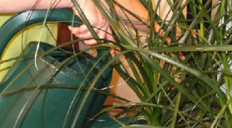 Train Your Plant Technicians for Account Retention & Profitability Featured Image