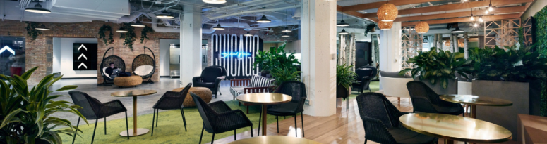 image of an office with plants, green carpeting, natrual lighting and wood textures