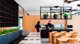 Biophilia, a Defining Post-Modern Aesthetic Featured Image