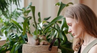 Rooted in Resilience: Overcoming Interiorscape Client Cancellations Featured Image