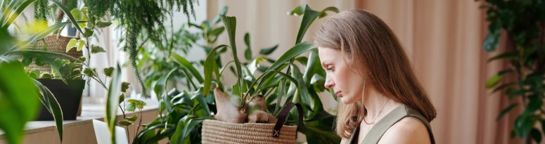 An interiorscape professional managing client cancellations in a notebook at a desk surrounded by lush indoor plants and a laptop