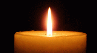 Tribute to Steve Reiss: Innovator, Plantscaper, and Dear Friend Featured Image