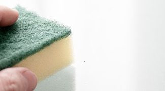 How to Clean Fiberglass Planters: A Step-By-Step Guide Featured Image