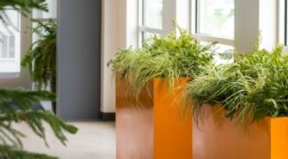 The Secret Power of Color in Interiorscape Design Featured Image