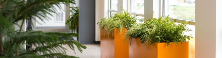 A modern corridor lined with vibrant orange planters filled with lush greenery