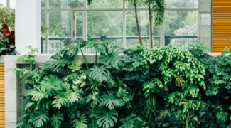 Competitive Bids—Are They Worth It? Featured Image