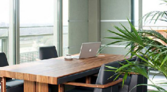 Leafing Through the Benefits of Plants Featured Image