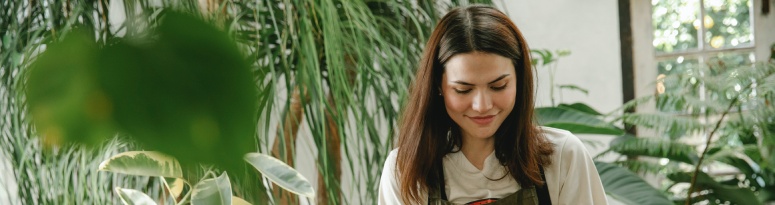 A plant technician caring for the leaves of a large potted plant