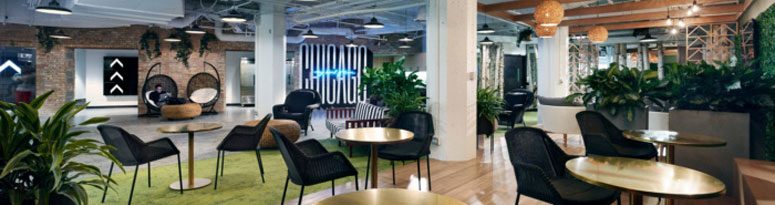 biophilic design in the workplace