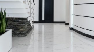 A Plantscaper’s Guide to Managing Client Expectations Featured Image