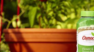 Fertilizing Tips for a Healthy Interiorscape Featured Image