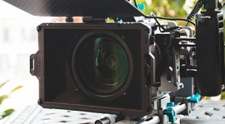 Reel Greenery: Transforming Film Sets With Plant Rentals Featured Image