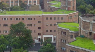 Green Roofs: The New-Old Hanging Gardens of Babylon Featured Image